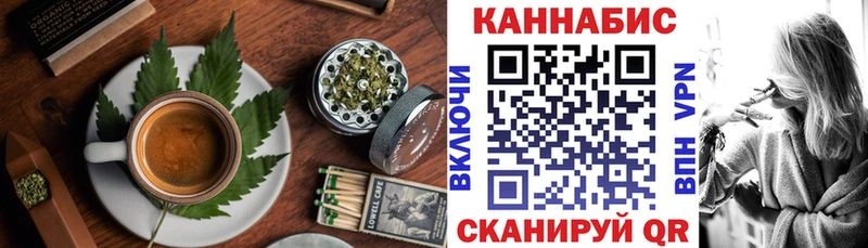 Canna-Cookies марихуана  Шадринск 
