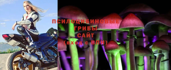 прущий лед Алексеевка