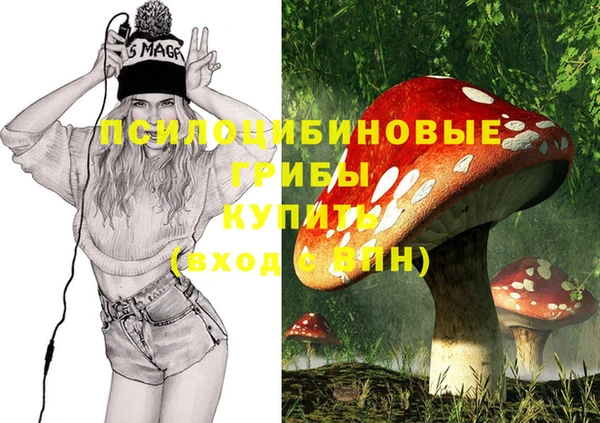 молекула духа Алексин