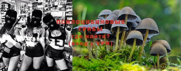меф Сясьстрой