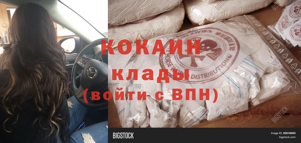 молекула духа Алексин